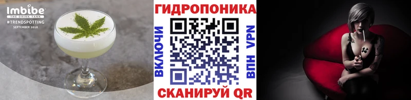 блэк спрут ONION  продажа наркотиков  Александров  Cannafood марихуана 