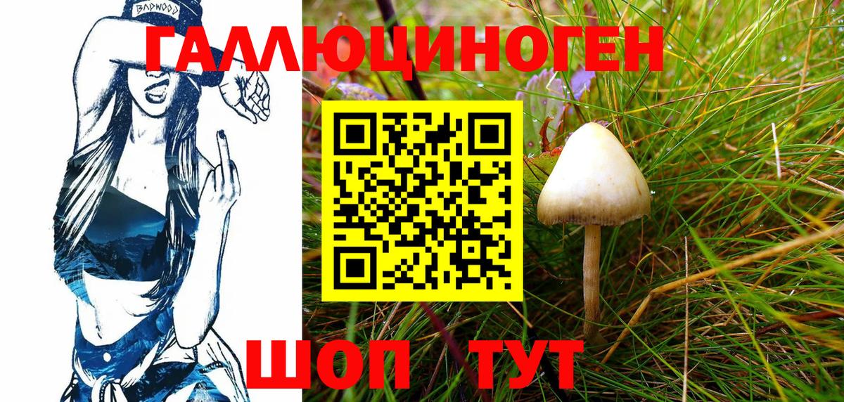 Александров  Галлюциногенные грибы Magic Shrooms  Галлюциногенные грибы GOLDEN TEACHER  Вход с VPN 