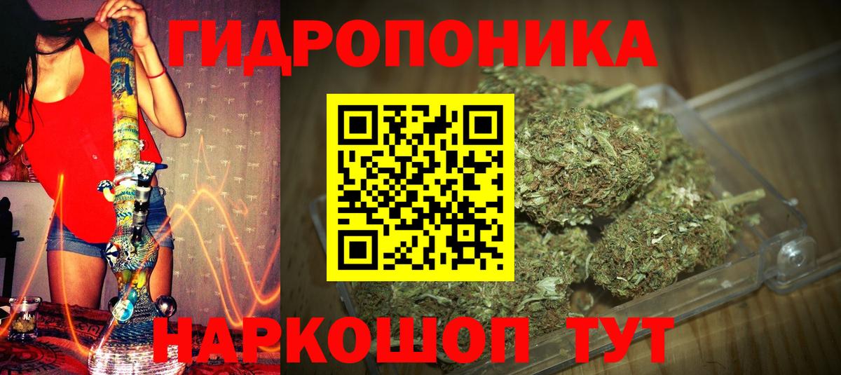 Шишки марихуана план Александров